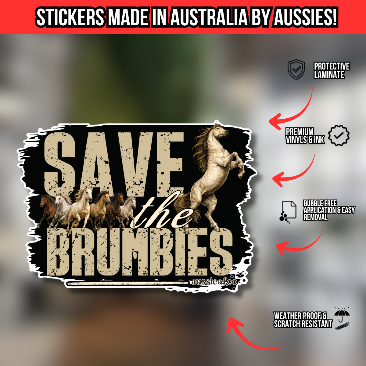 Save the Brumbies.. UV Vinyl Sticker [Limited Edition]